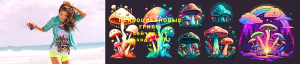 МДПВ Зеленокумск