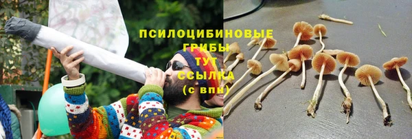 гидропоника Зерноград